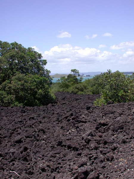 Lava Field